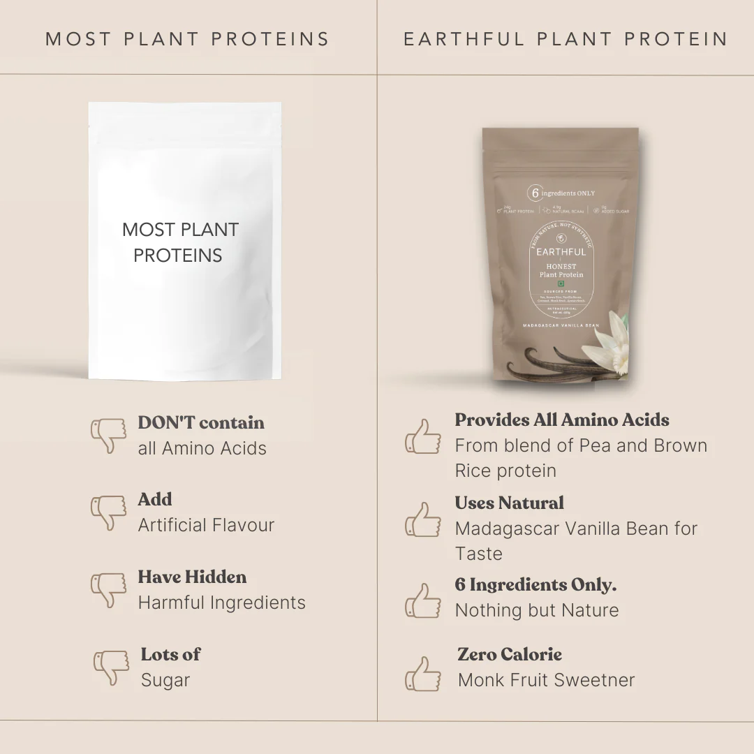 Honest Plant Protein- Madagascar Vanilla - Image 4