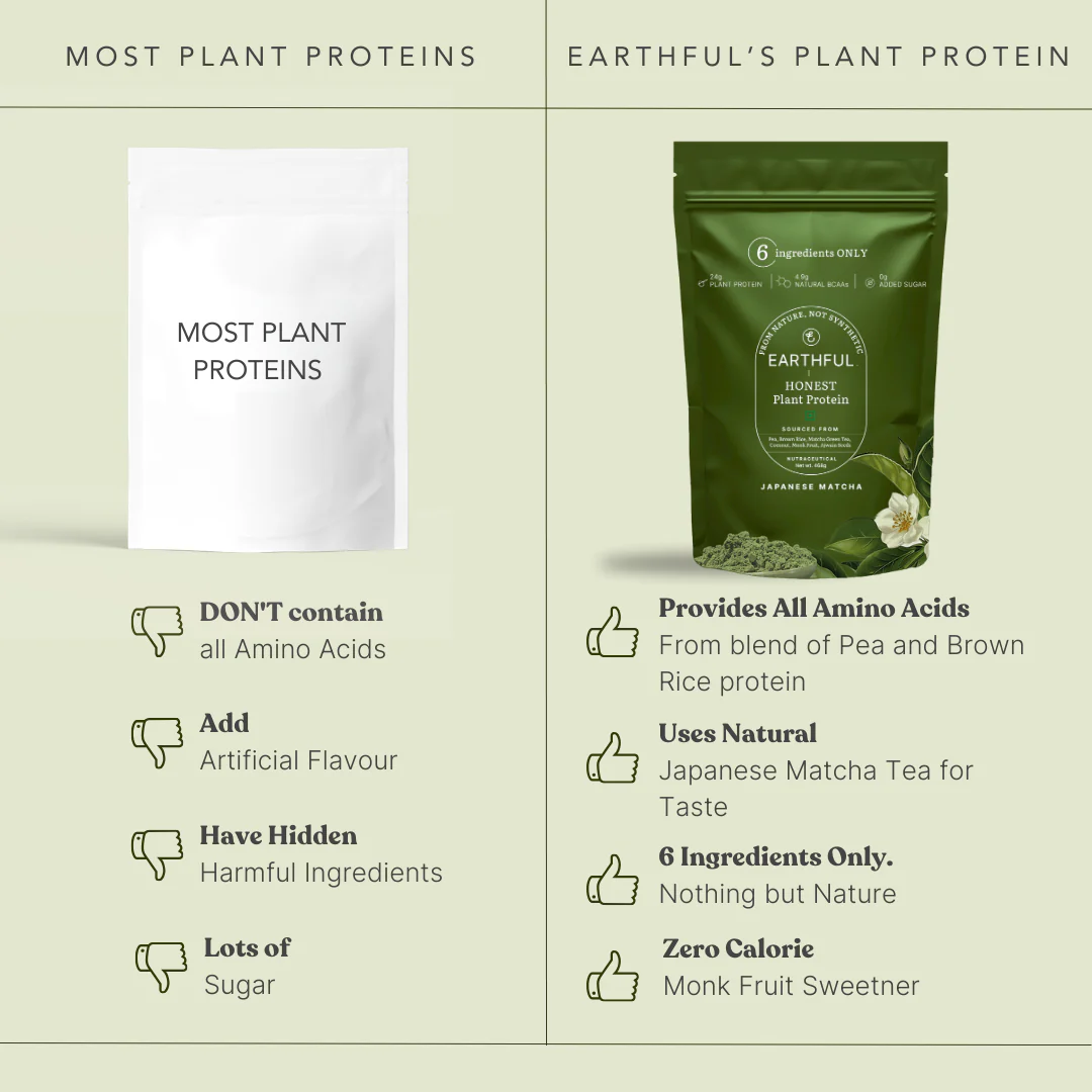 MonkSweet + Plant Protein - Japanese Matcha Combo - Image 6