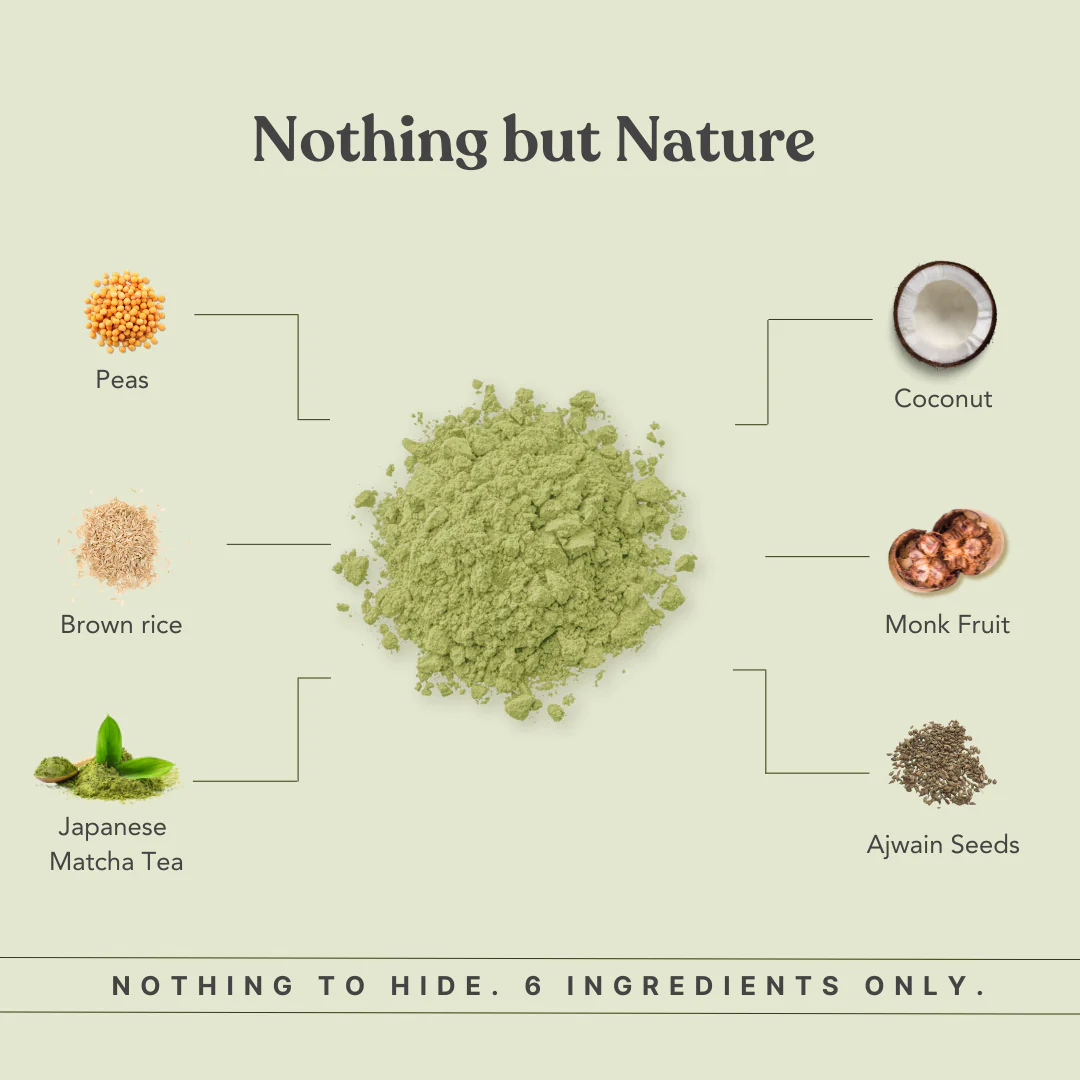 MonkSweet + Plant Protein - Japanese Matcha Combo - Image 7