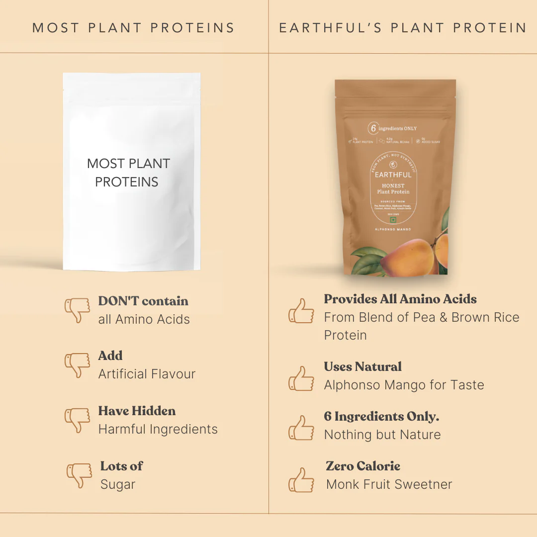 MonkSweet + Plant Protein - Alphonso Mango Combo - Image 6